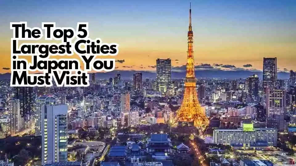 largest cities in japan